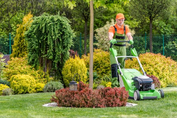 Weekly Lawn Maintenance in Melbourne