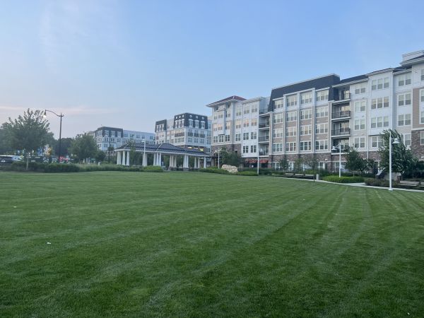 Cost of Urban Lawn Care in Melbourne