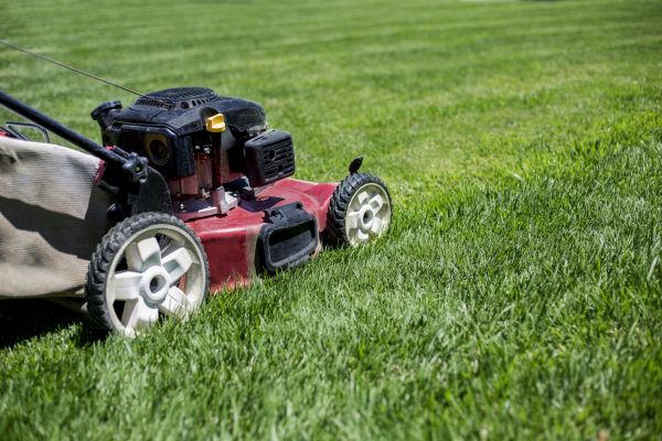 Routine Lawn Care in Melbourne