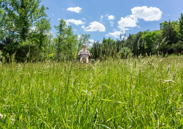 Long Grass Mowing in Melbourne