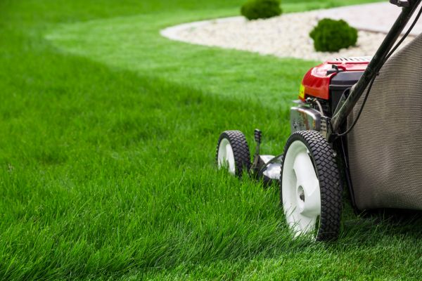 Weekly Mowing in Melbourne