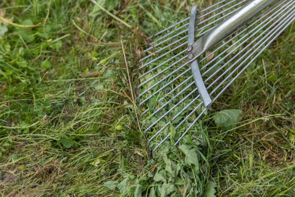 Thatch Raking in Melbourne