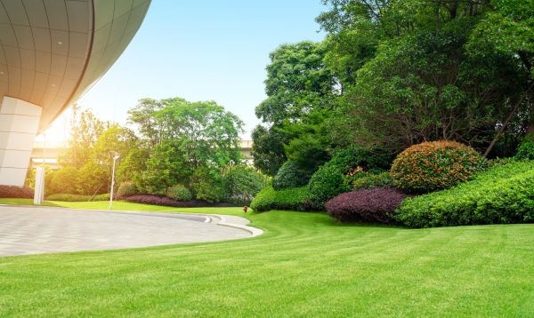 Business Groundskeeping in Melbourne
