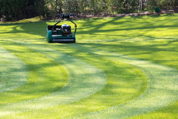 Business Lawn Mowing in Melbourne