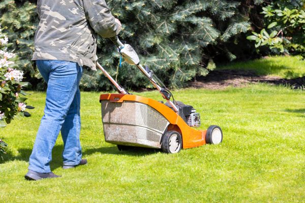 Springtime Lawn Care in Melbourne