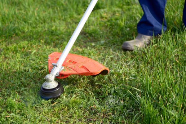 Lawn Weed Whacking in Melbourne