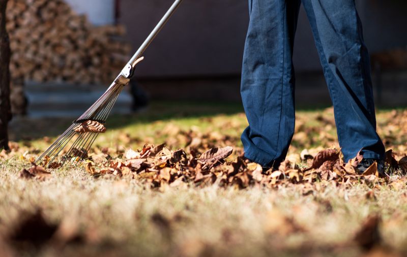 Fall Yard Maintenance Tools