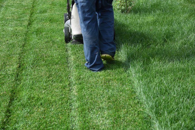 Community Lawn Care Programs